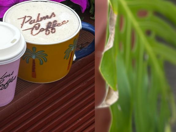 Coffee stencilled with Palms Bakery Coffee logo