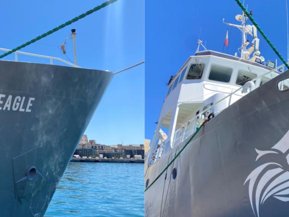 Sea Eagle logo painted on yacht hull