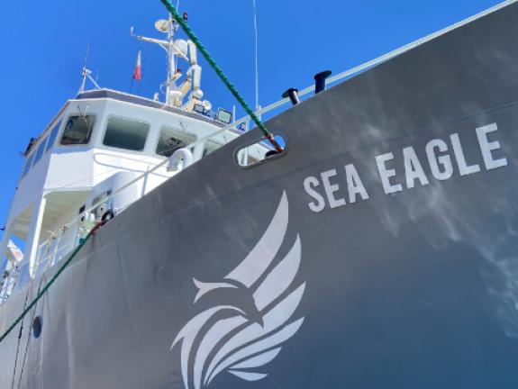 Sea Eagle logo painted on yacht hull