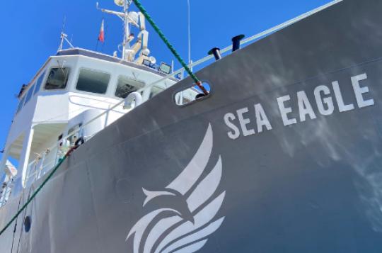 Sea Eagle logo painted on yacht hull