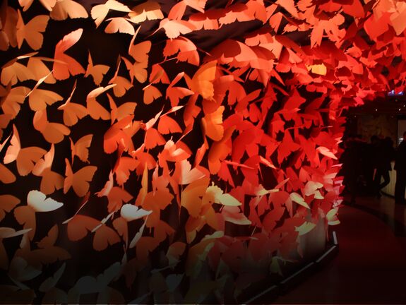 Paper drop panels with laser cut butterflies